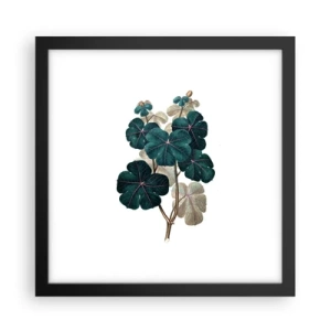 Plakat w czarnej ramie - Ze starego zielnika - 30x30 cm
