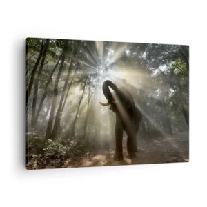 Obraz na płótnie - Słoń w lesie otoczony promieniami światła w porannej mgle - 70x50cm - Pod szczęśliwą gwiazdą - Nowoczesna dekoracja ścienna do salonu i sypialni ARTTOR