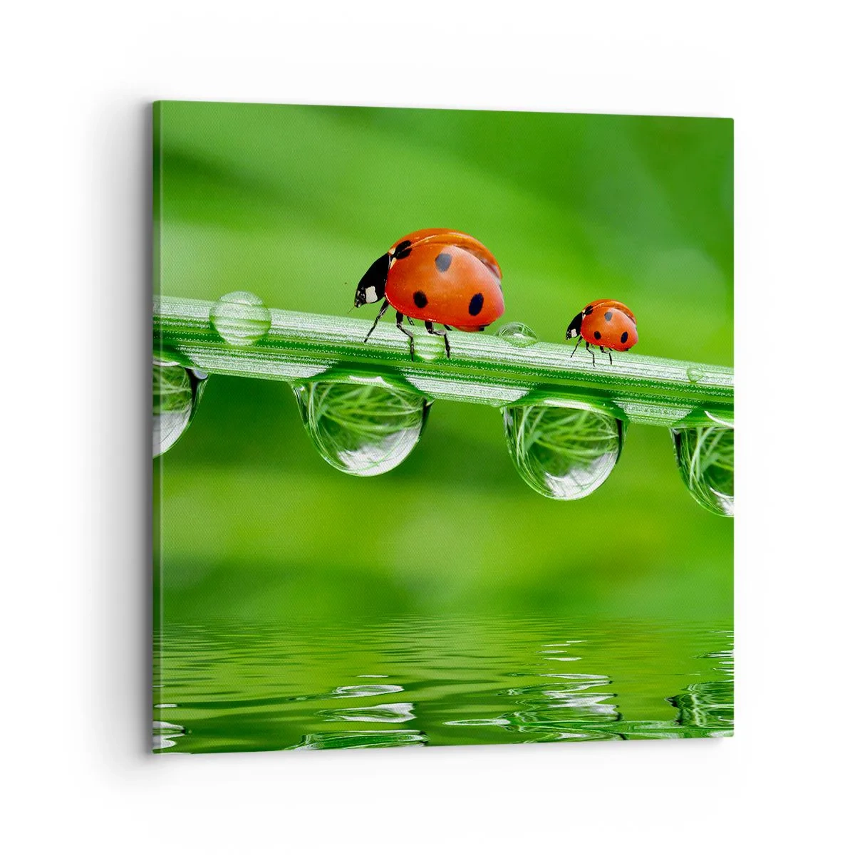 Obraz na płótnie - W drodze całe lato - 70x70 cm