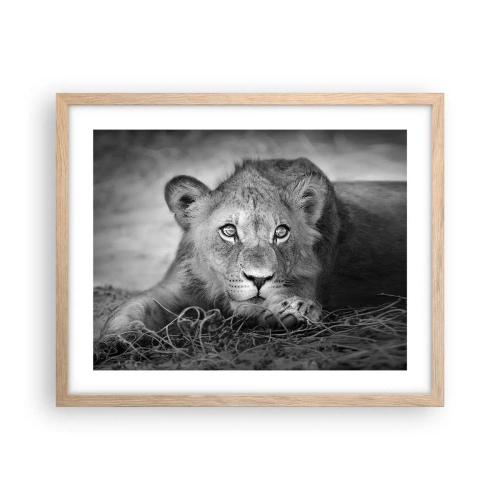 Plakat w ramie jasny dąb - Królewskie szczenię - 50x40 cm