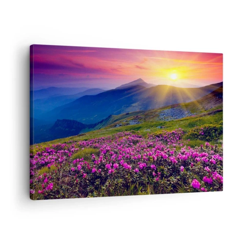 Obraz na płótnie - Kwitnąca łąka z widokiem na góry podczas zachodu słońca - 70x50cm - … A dokoła pachnie kosodrzewina i wonieją zioła - Nowoczesna dekoracja ścienna do salonu i sypialni ARTTOR