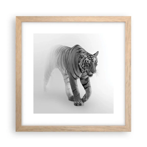 Plakat w ramie jasny dąb - Przyczajony we mgle - 30x30 cm