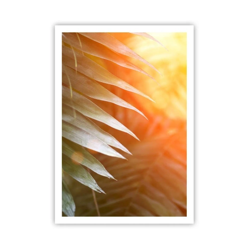 Plakat - Poranek w dżungli - 70x100 cm