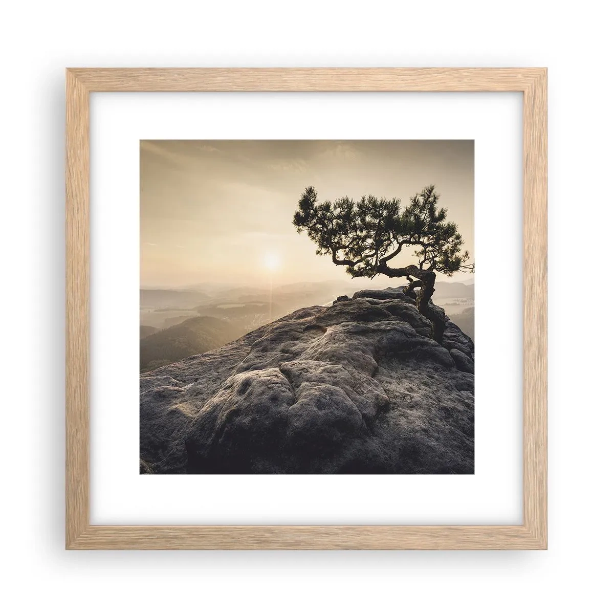 Plakat w ramie jasny dąb - Życie zawsze zwycięża - 30x30 cm