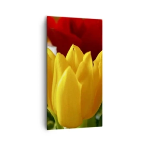 Obraz na płótnie - Tulipanowa gorączka - 55x100 cm