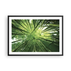 Plakat w czarnej ramie - Widok w górę przez zielony bambusowy gaj - 70x50cm - W bambusowym gaju - Nowoczesna dekoracja ścienna do salonu i sypialni ARTTOR