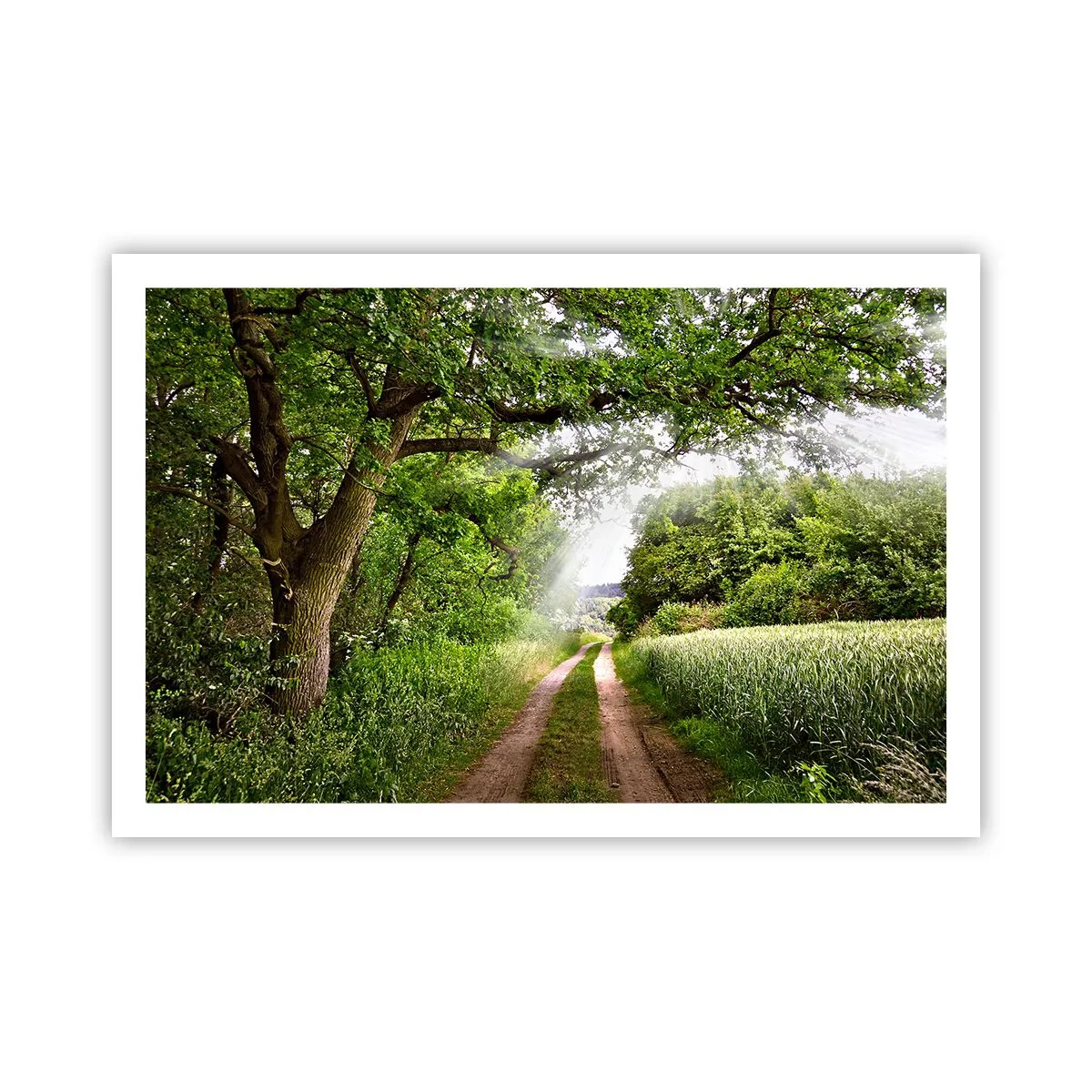 Plakat - Et in Arcadia ego - 91x61 cm