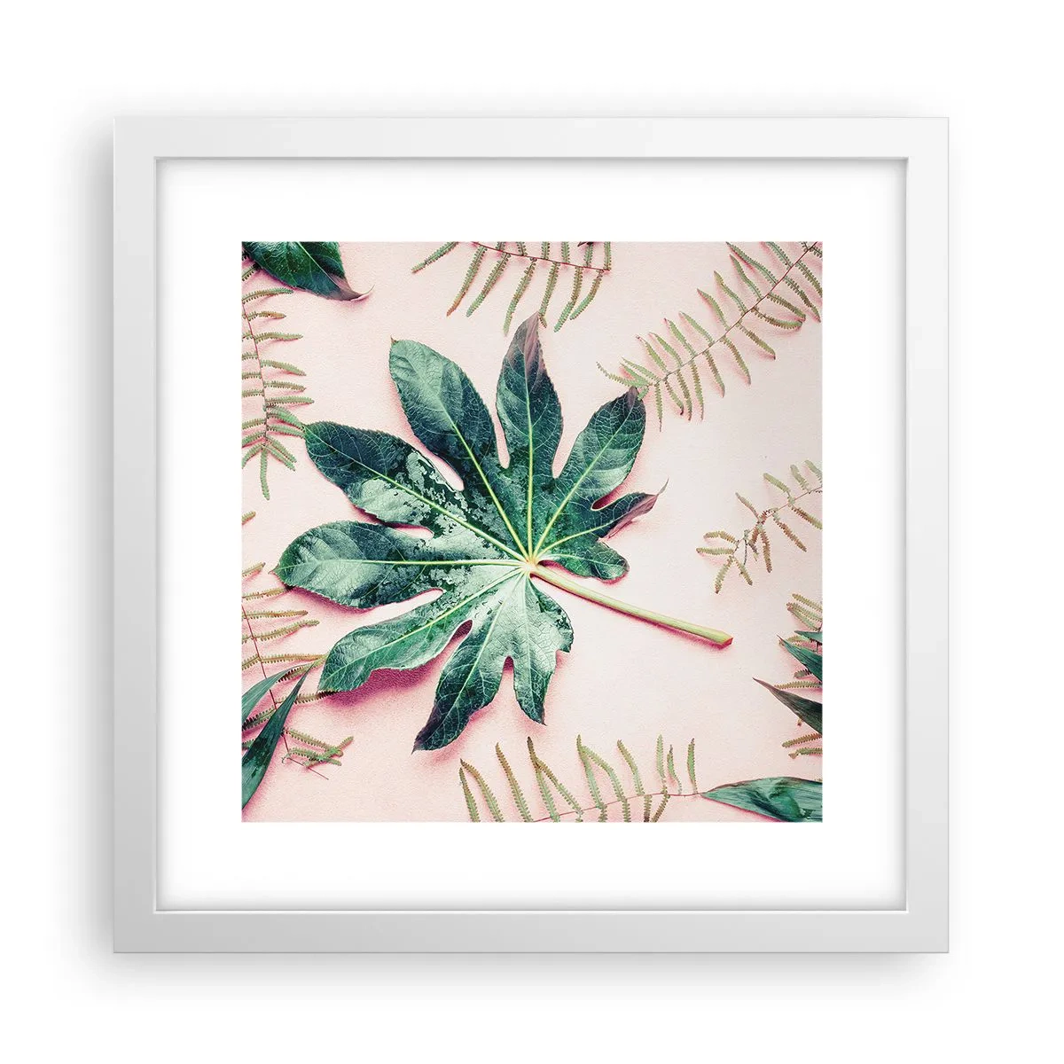 Plakat w białej ramie - Studium zieleni na różowym tle - 30x30 cm