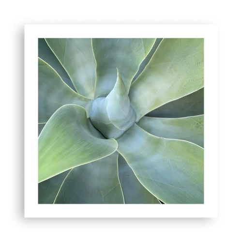 Plakat - Narodziny zieleni - 50x50 cm