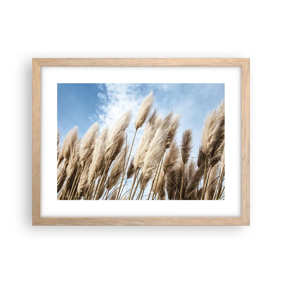 Plakat w ramie jasny dąb - Słoneczna i wietrzna pieszczota - 40x30 cm