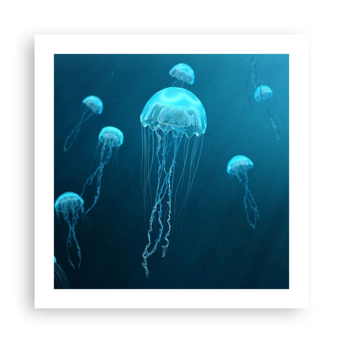 Plakat - Oceaniczny taniec - 50x50 cm