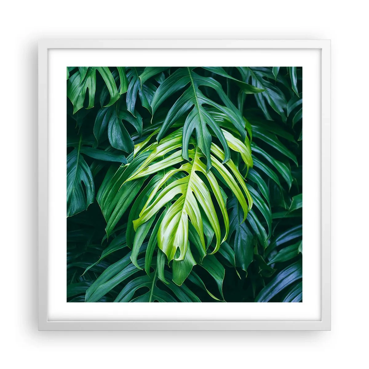 Plakat w białej ramie - Zanurzyć się w świeżości - 50x50 cm