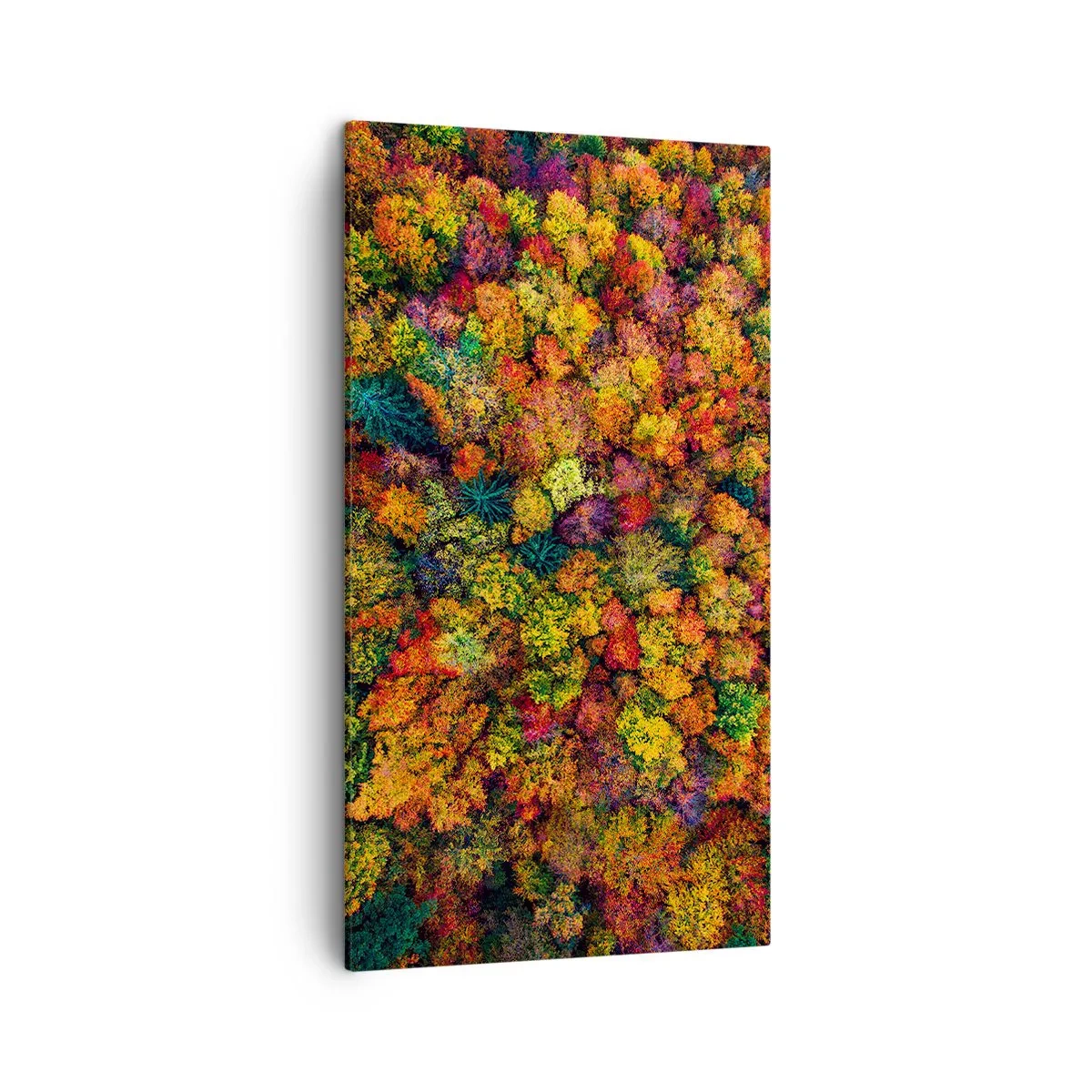 Obraz na płótnie - Bukiet jesiennych drzew - 45x80 cm