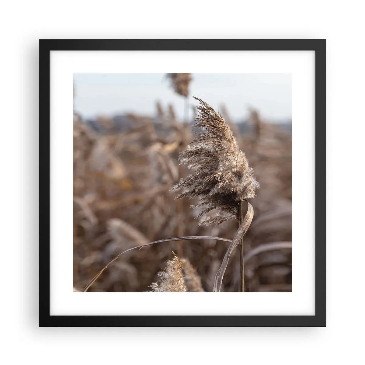 Plakat w czarnej ramie - Czas odlecieć z wiatrem - 40x40 cm