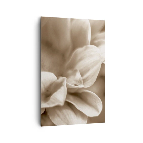Obraz na płótnie - Zbliżenie kwiatów w delikatnej sepii o miękkich konturach - 80x120cm - Łagodne jak uśmiech - Nowoczesna dekoracja ścienna do salonu i sypialni ARTTOR