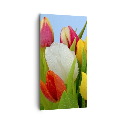 Obraz na płótnie - Kwiatowa tęcza w kroplach rosy - 55x100 cm