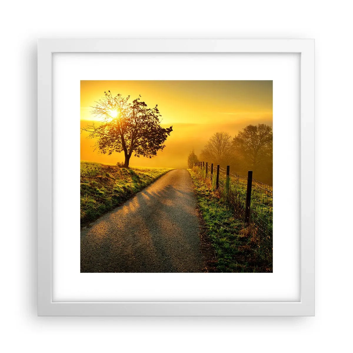 Plakat w białej ramie - Miodne popołudnie - 30x30 cm