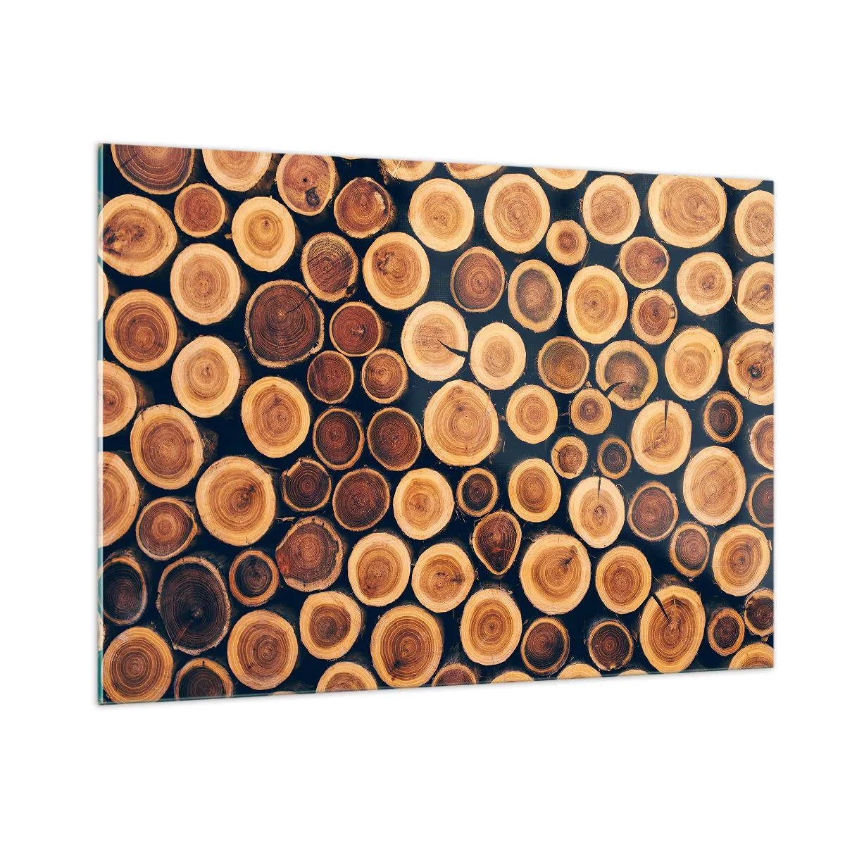 Obraz na szkle - Widok na ścięte pnie drzew ułożone w rzędzie - 100x70cm - Na ile lat wyglądam? - Nowoczesna dekoracja ścienna do salonu, kuchni i sypialni ARTTOR