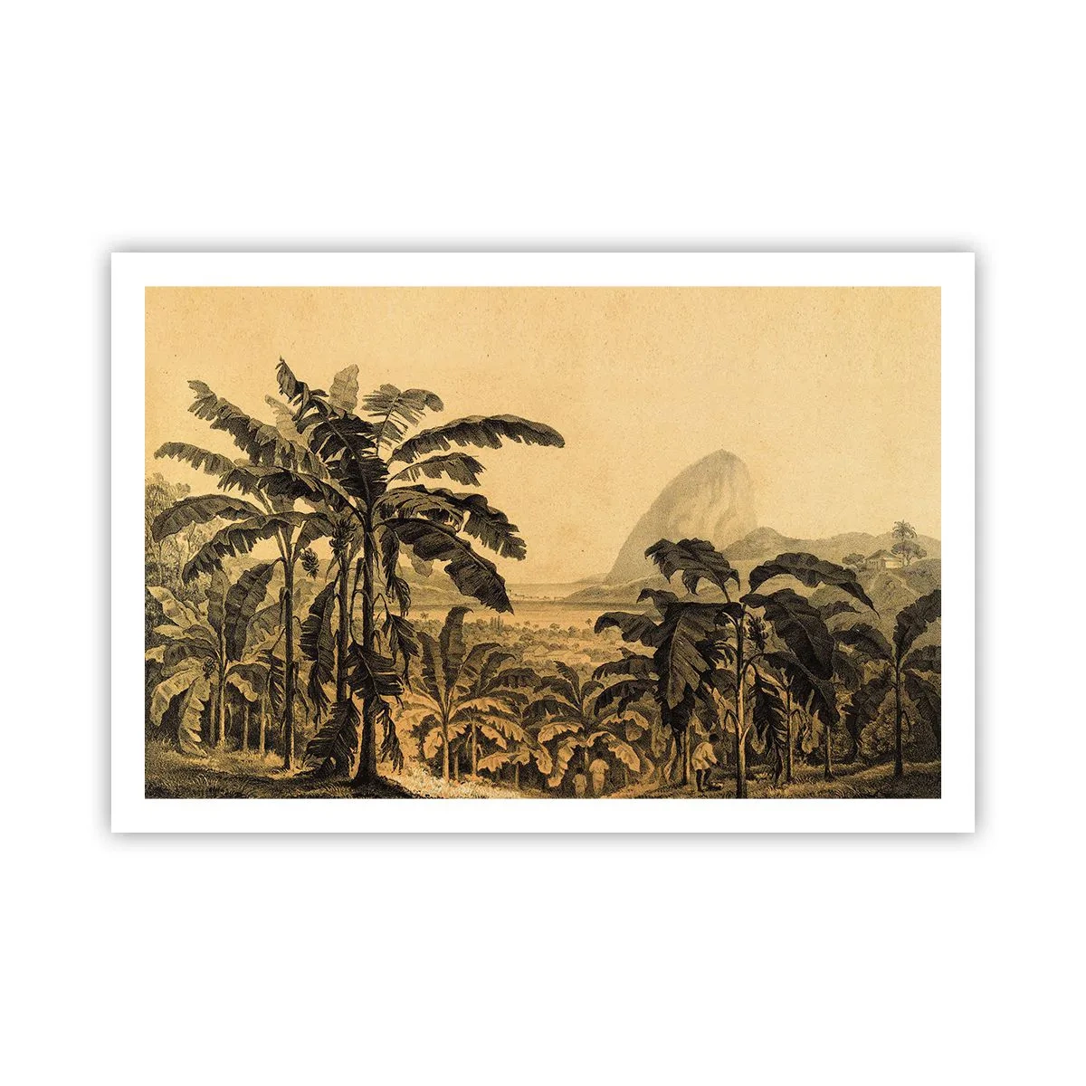 Plakat - w kolonialnym klimacie - 91x61 cm