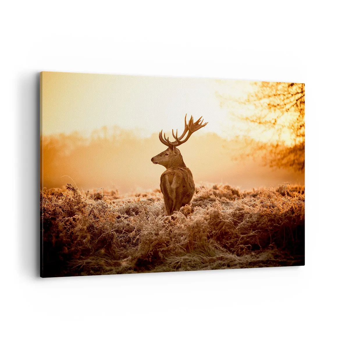 Obraz na płótnie - Jeleń w promieniach wschodzącego słońca - 100x70cm - Pan na włościach - Nowoczesna dekoracja ścienna do salonu, kuchni i sypialni ARTTOR