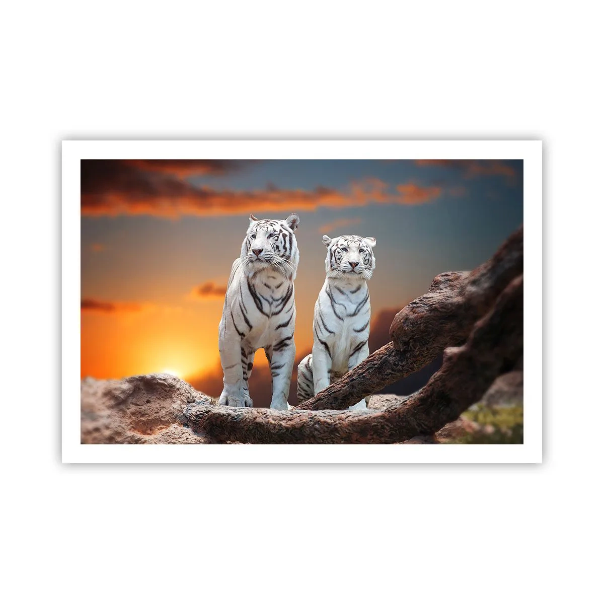 Plakat - Zupełnie jak w Narni - 91x61 cm