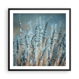 Plakat w czarnej ramie - Pachnący łan - 60x60 cm
