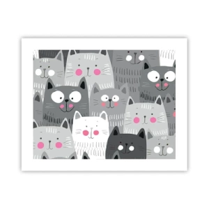Plakat - Koci świat - 50x40 cm
