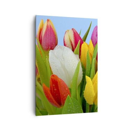 Obraz na płótnie - Kolorowe tulipany pokryte kroplami rosy na błękitnym tle - 70x100cm - Kwiatowa tęcza w kroplach rosy - Nowoczesna dekoracja ścienna do salonu i sypialni ARTTOR