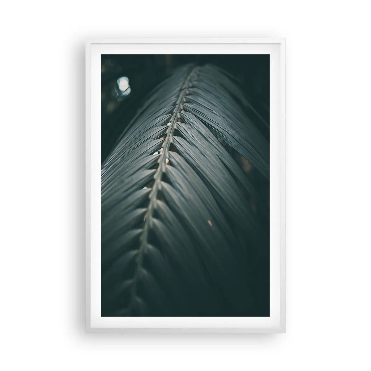 Plakat w białej ramie - Precyzja natury - 61x91 cm