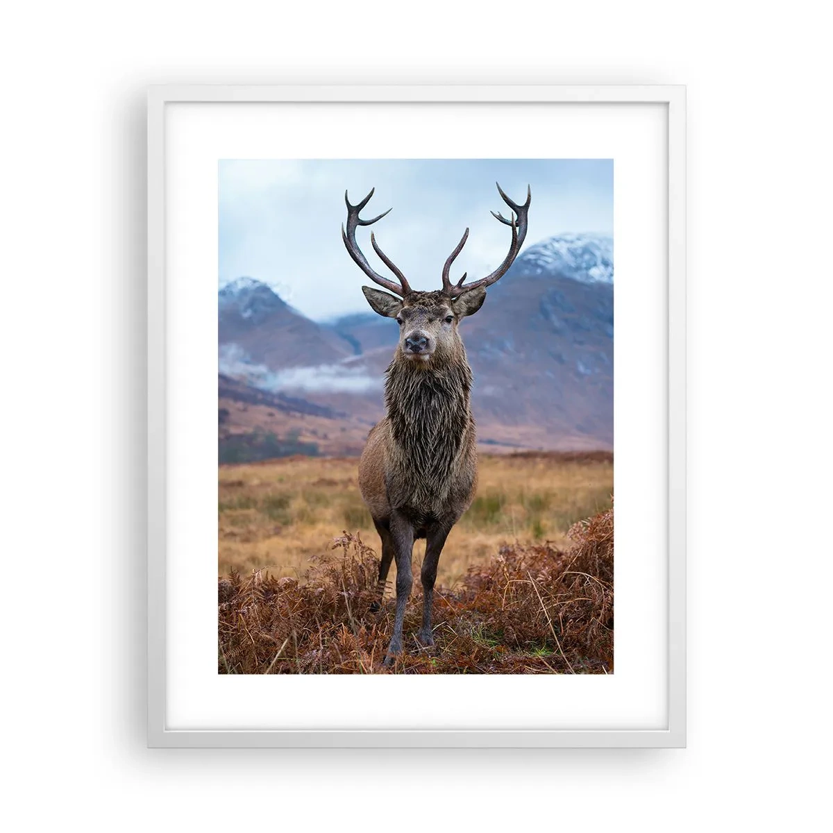 Plakat w białej ramie - Na własnej ziemi - 40x50 cm