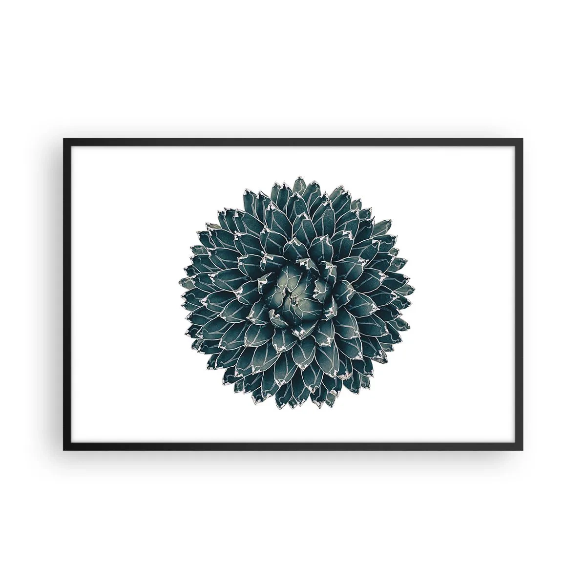 Plakat w czarnej ramie - Gwiazda pustyni - 91x61 cm