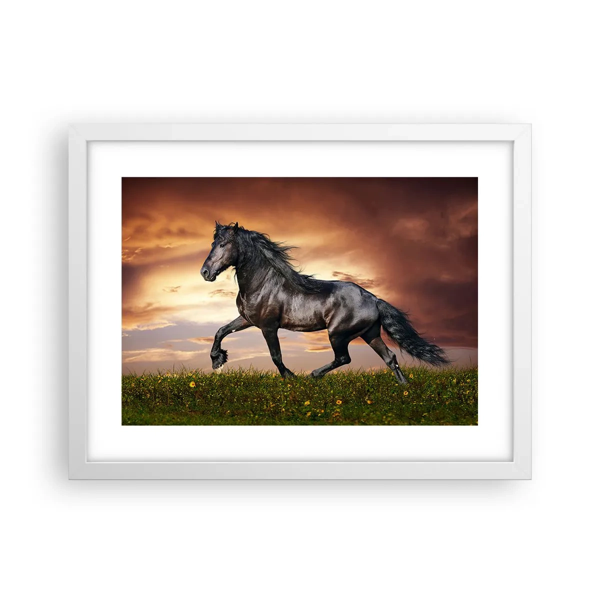 Plakat w białej ramie - Czarny książę - 40x30 cm