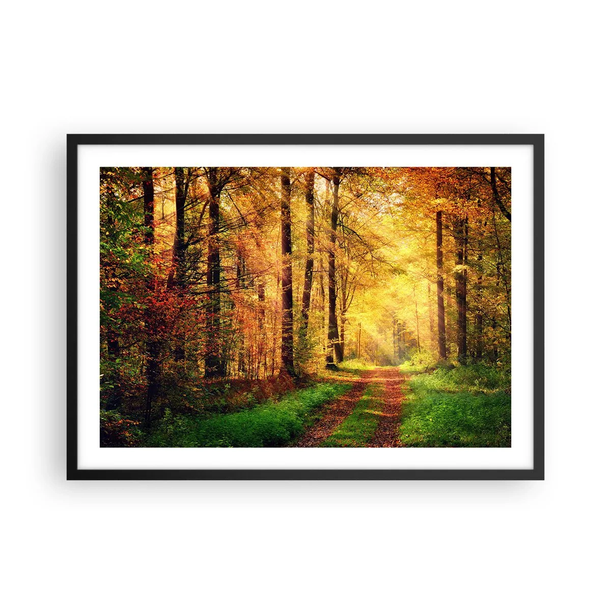 Plakat w czarnej ramie - Leśna ścieżka otoczona złotymi i zielonymi drzewami - 70x50cm - Leśno-złota cisza - Nowoczesna dekoracja ścienna do salonu i sypialni ARTTOR