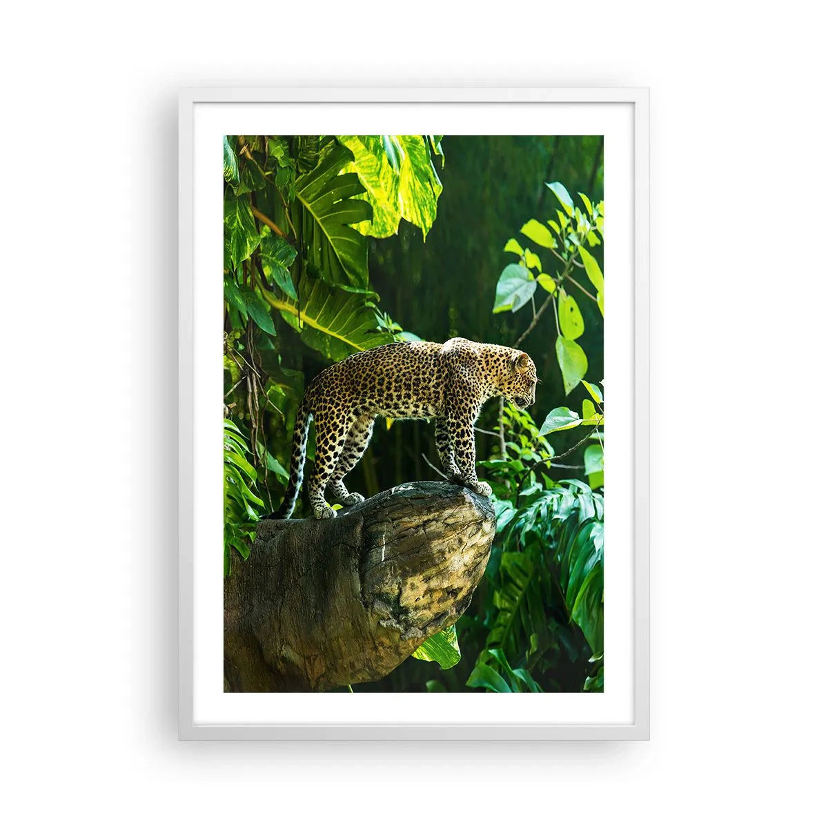 Plakat w białej ramie - Na łowy? - 50x70 cm