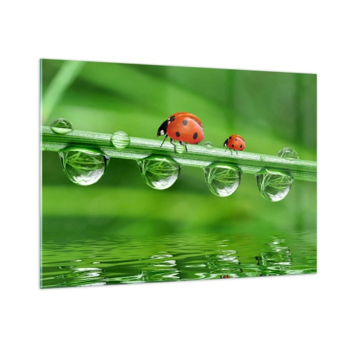 Obraz na szkle - Biedronki na źdźble trawy z kroplami rosy i odbiciem w wodzie - 100x70cm - W drodze całe lato - Nowoczesna dekoracja ścienna do salonu, kuchni i sypialni ARTTOR
