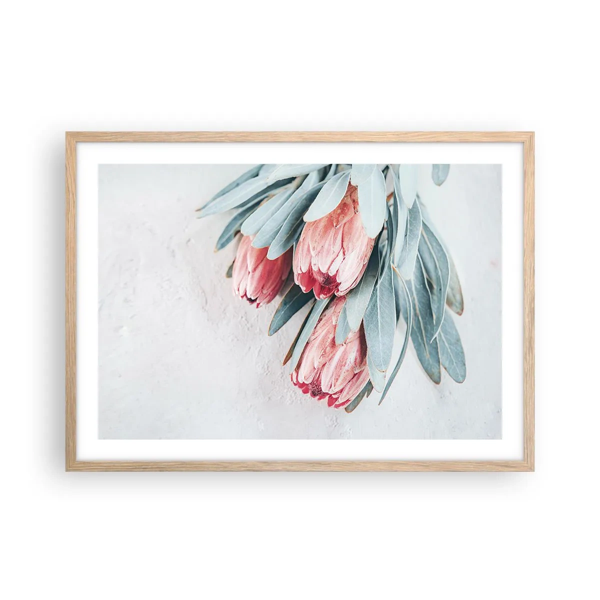 Plakat w ramie jasny dąb - Zawstydzone własną urodą - 70x50 cm