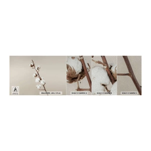 Fototapeta Próbka Premium Sand - U źródła miękkości - Kwiat Bawełny, Natura, Bawełna - 100x30 cm