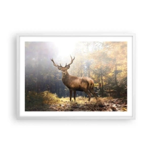 Plakat w białej ramie - W pełnym majestacie - 70x50 cm