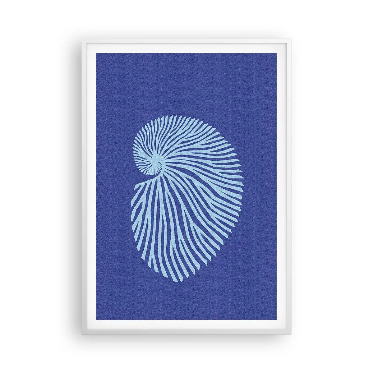 Plakat w białej ramie - Narodziny muszli - 70x100 cm