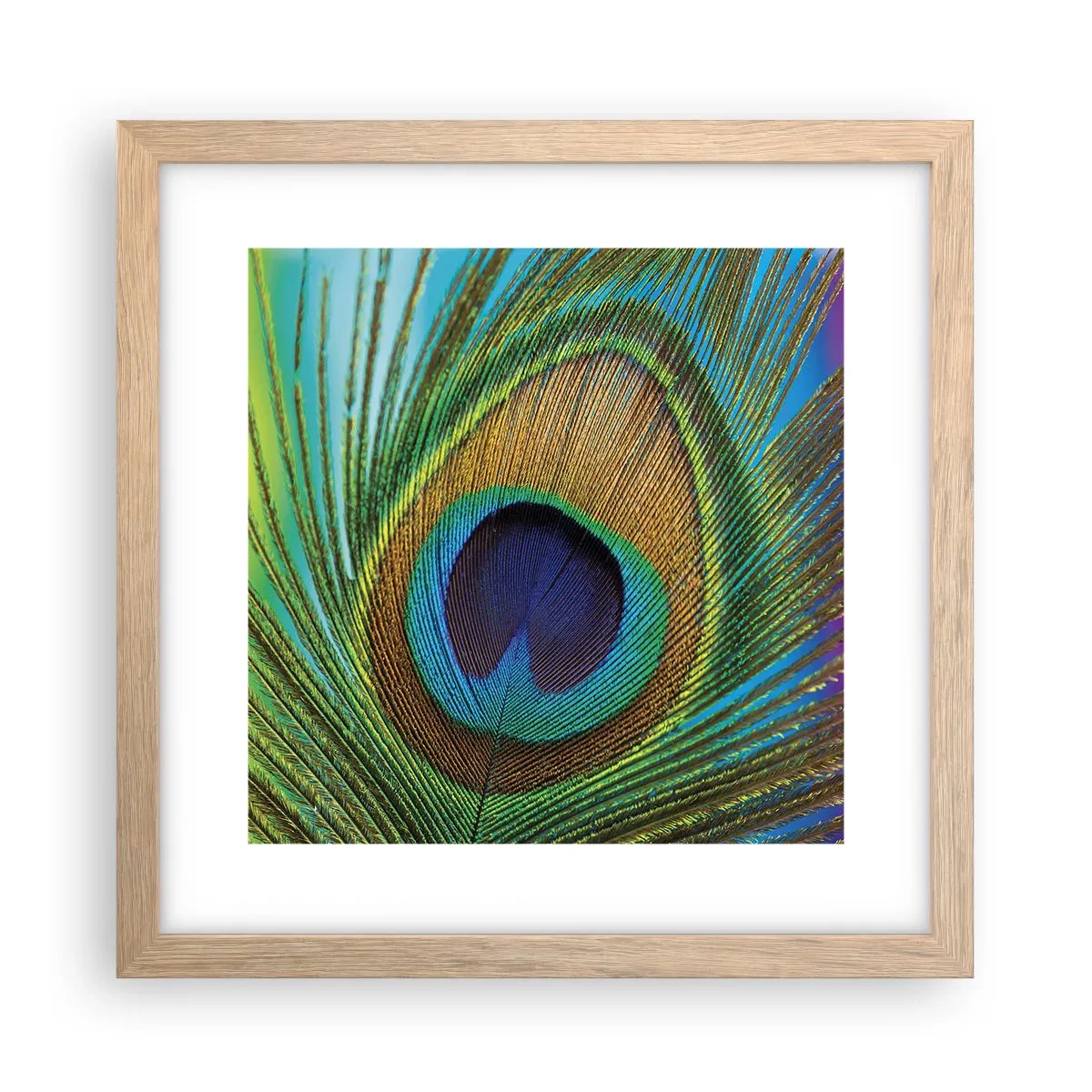 Plakat w ramie jasny dąb - Oko w oko - 30x30 cm