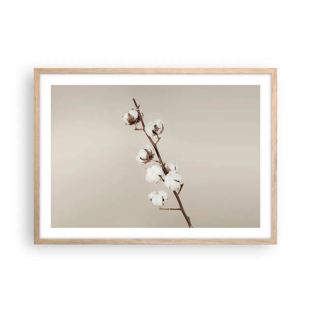 Plakat w ramie jasny dąb - U źródła miękkości - 70x50 cm