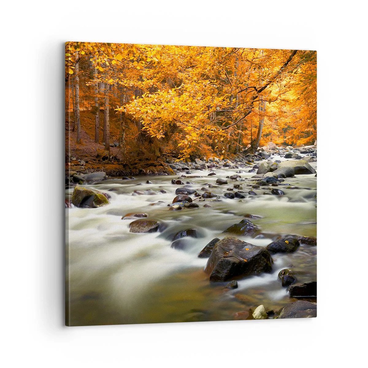 Obraz na płótnie - Potok w złotym lesie - 60x60 cm