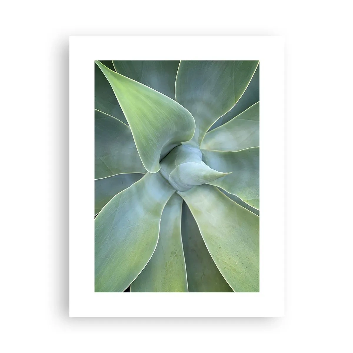 Plakat - Narodziny zieleni - 30x40 cm