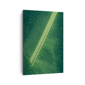 Obraz na płótnie - Zielony liść z kroplami wody na powierzchni - 70x100cm - Struktura zieleni - Nowoczesna dekoracja ścienna do salonu i sypialni ARTTOR