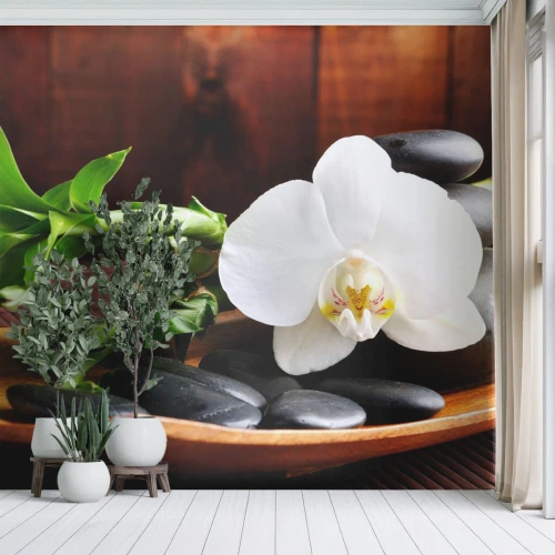 Fototapeta Premium Sand - Poddaj się dotykowi natury - Kwiaty, Orchidea, Storczyk - 150x105 cm
