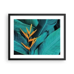 Plakat w czarnej ramie - Kwiat Edenu - 50x40 cm