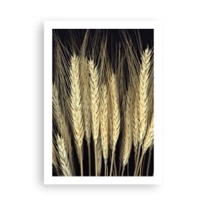 Plakat - Zbliżenie na kłosy pszenicy na czarnym tle - 50x70cm - Rustykalna magia - Nowoczesna dekoracja ścienna do salonu, kuchni i sypialni ARTTOR