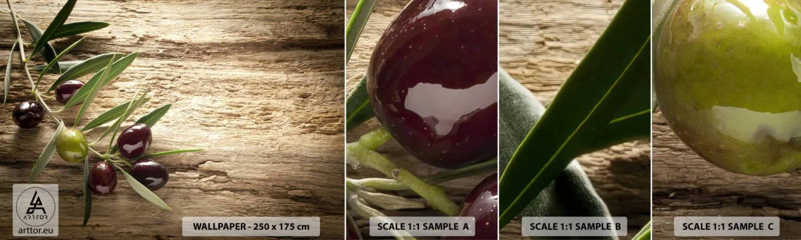 Fototapeta Próbka Standard Eco - Prosto od natury - Gałązka Oliwna, Natura, Oliwki - 100x30 cm