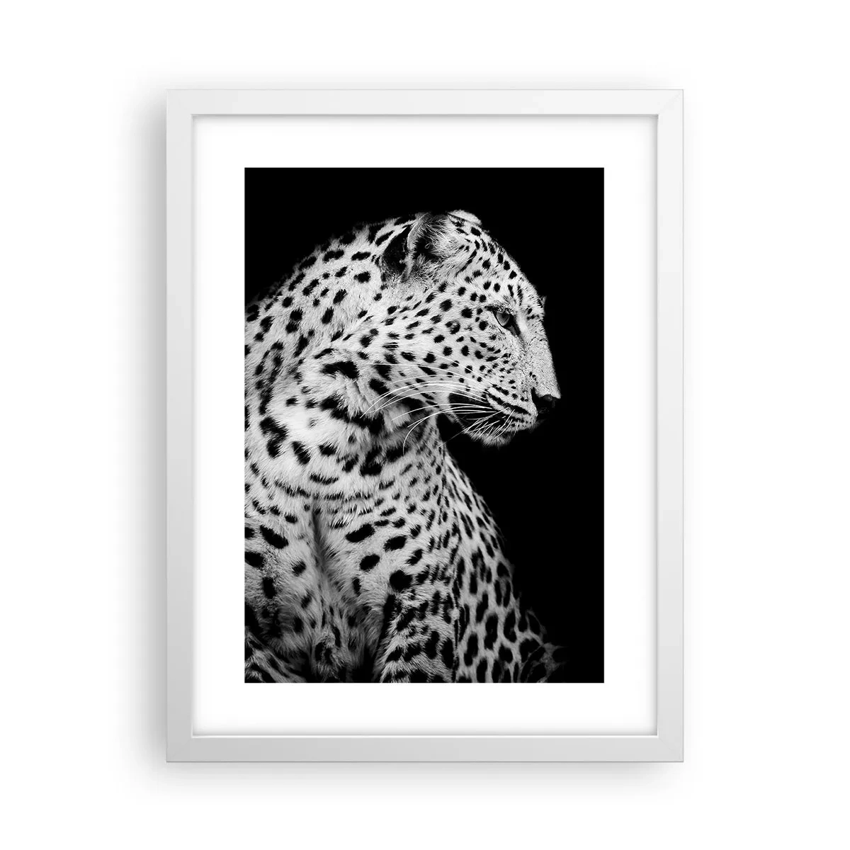 Plakat w białej ramie - Prawy profil doskonały! - 30x40 cm
