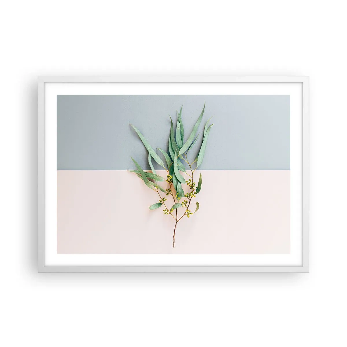 Plakat w białej ramie - Pastelowa subtelność - 70x50 cm